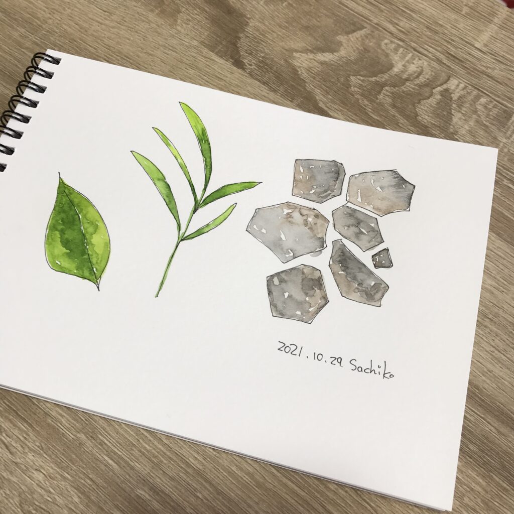 石と葉