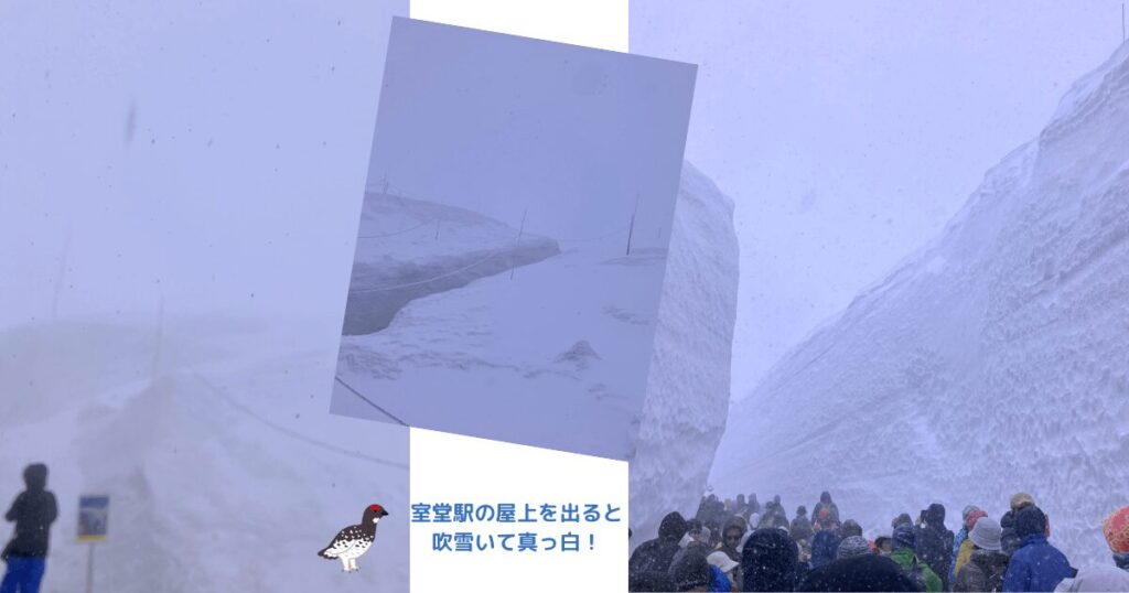 雪の回廊