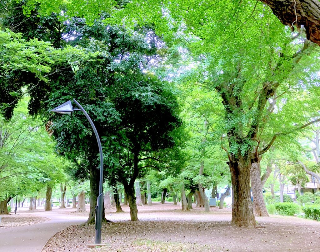 上野公園