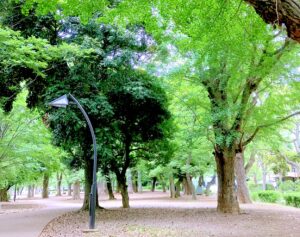 上野公園
