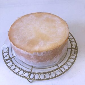 基本のスポンジケーキ