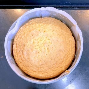 スポンジケーキ