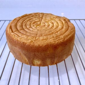 スポンジケーキ