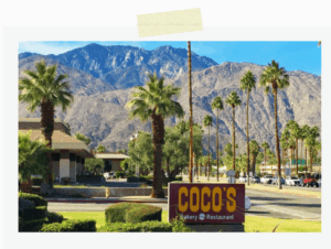 カリフォルニアココス