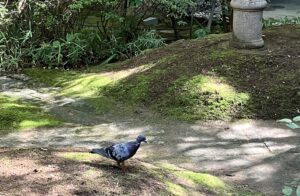 ぼうずんこーひー