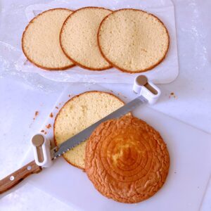 スポンジスライス