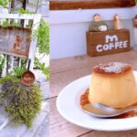 まめしばこーひー