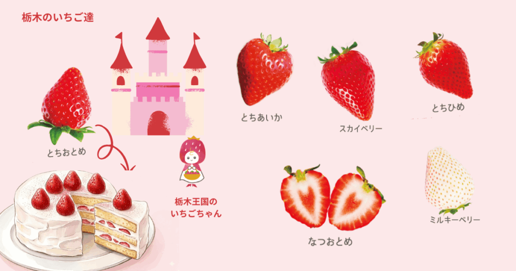 栃木の苺