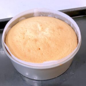 スポンジケーキ