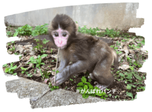 がんばれパンチ